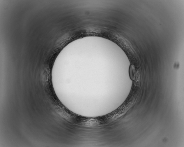 X0000099440463200805301454