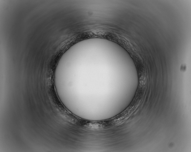 X0000099440464200805301454