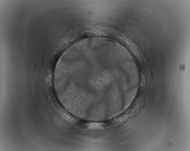 X0000099440465200805301454