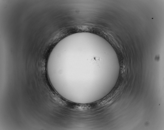 X0000099440466200805301454