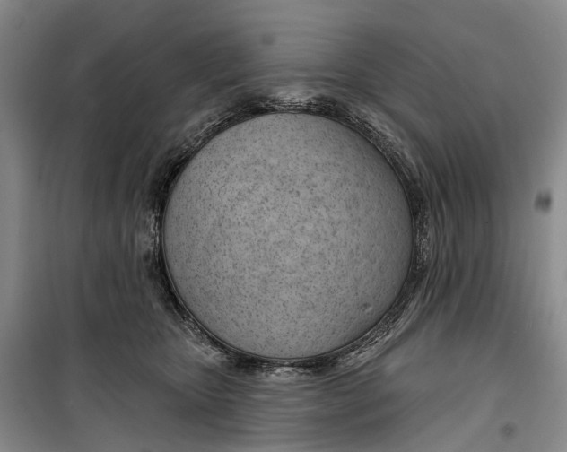 X0000099440467200805301454