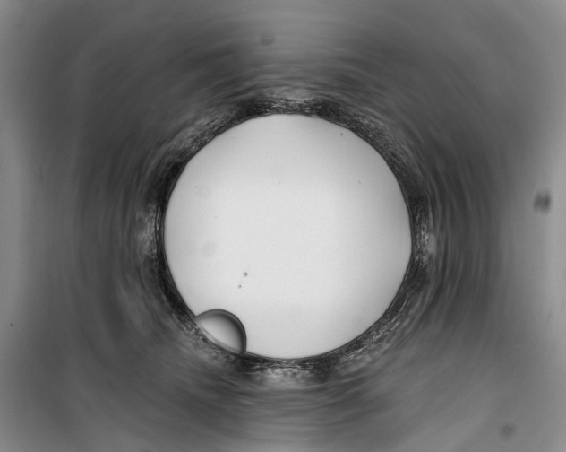 X0000099440468200805301454