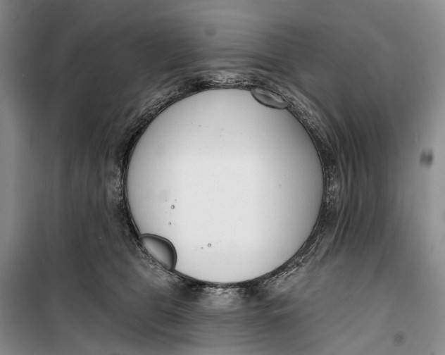 X0000099440469200805301454