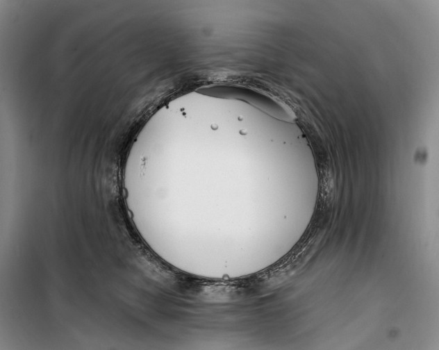 X0000099440470200805301454