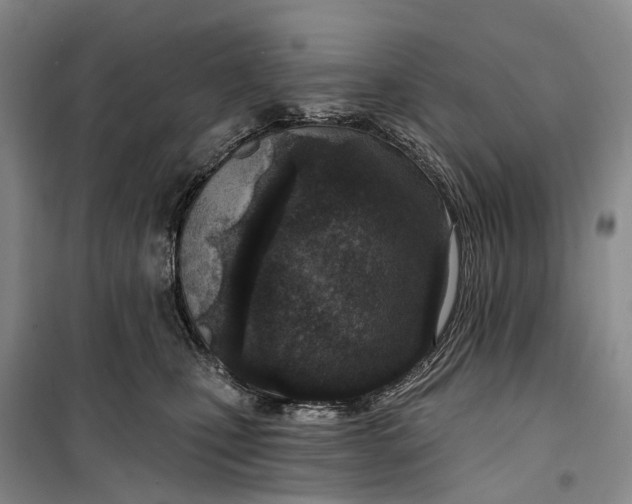 X0000099440471200805301454