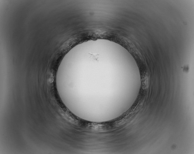 X0000099440472200805301454