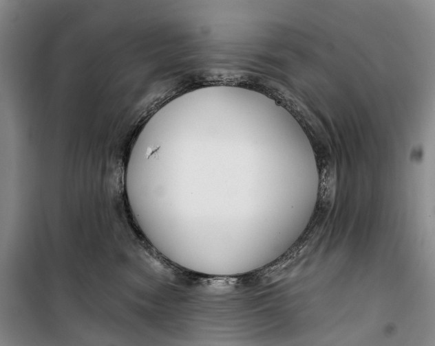 X0000099440474200805301455