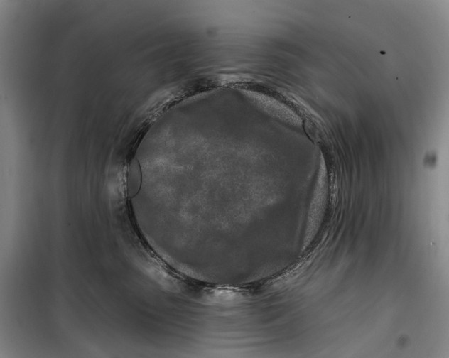 X0000099440475200805301455