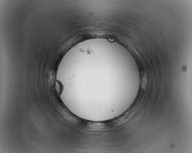 X0000099440476200805301455