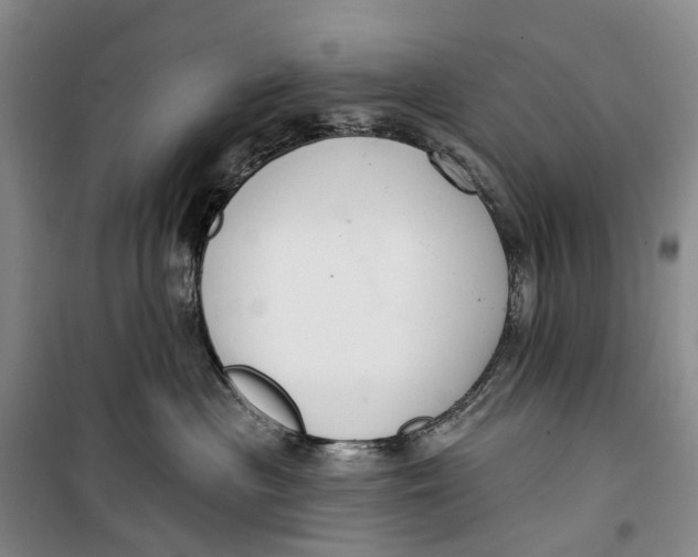 X0000099440477200805301455