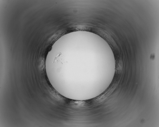 X0000099440478200805301455