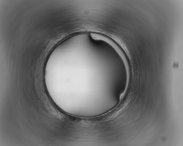 X0000099440481200805301454