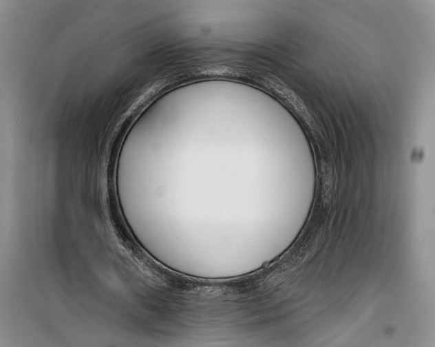 X0000099440482200805301454