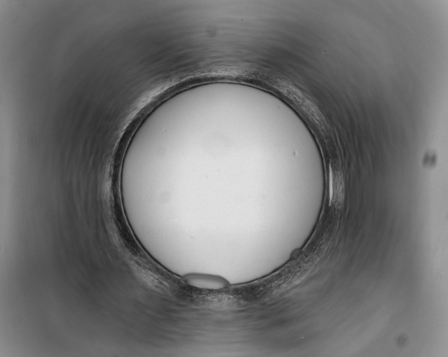 X0000099440483200805301454