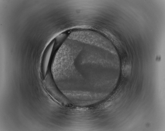 X0000099440484200805301454