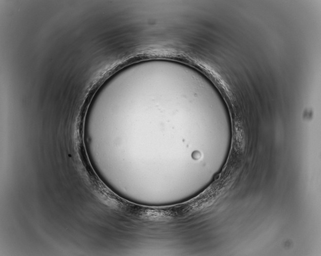 X0000099440487200805301454