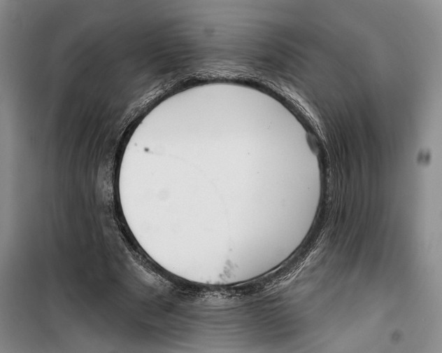 X0000099440489200805301454