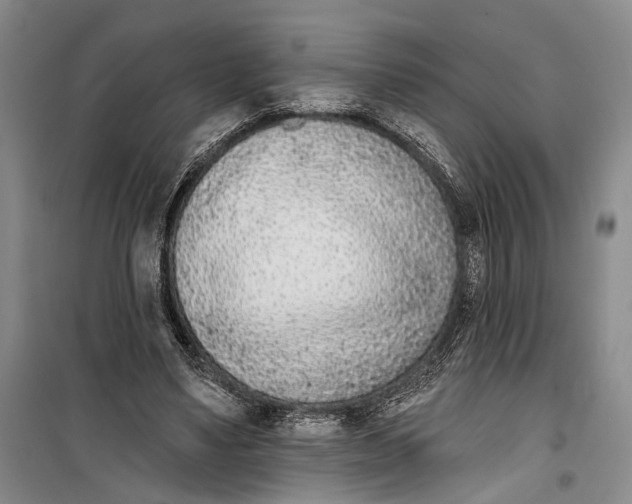 X0000099440491200805301454