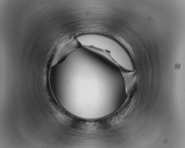 X0000099440493200805301454