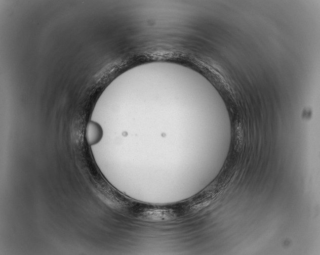 X0000099440499200805301454