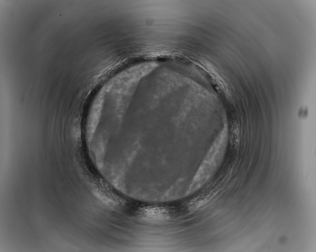 X0000099440500200805301454