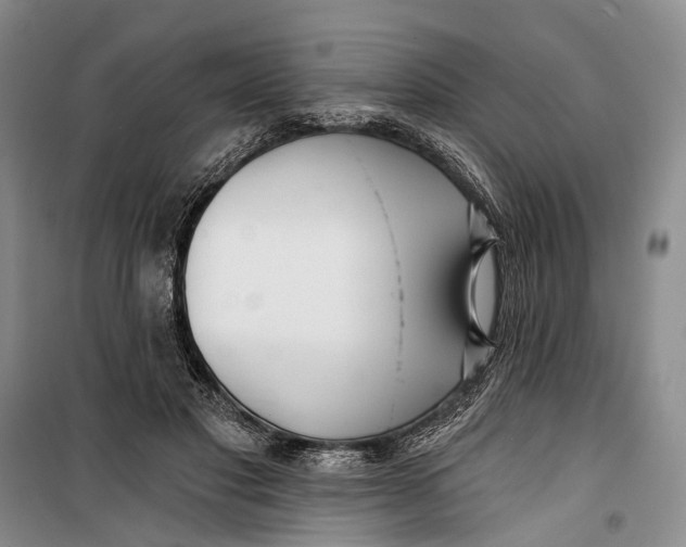 X0000099440501200805301454