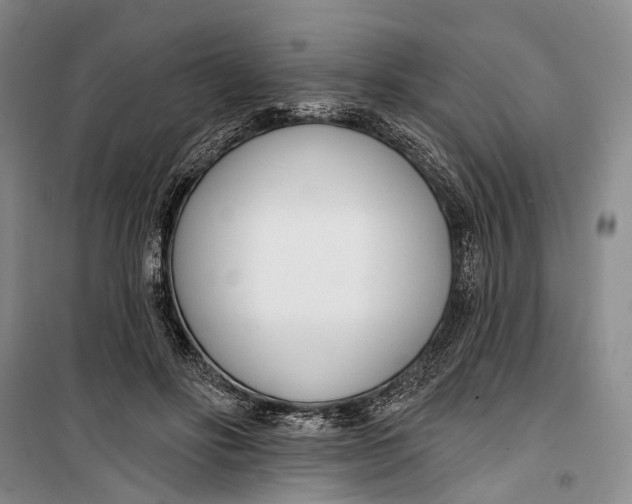 X0000099440502200805301454