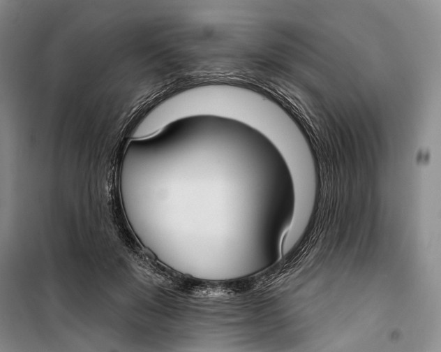 X0000099440503200805301454