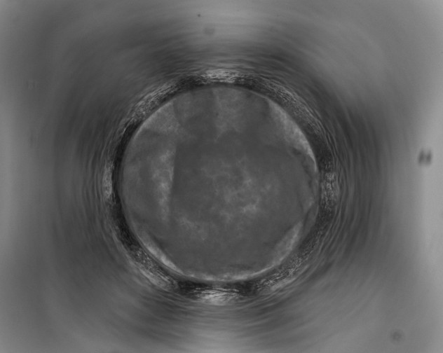 X0000099440504200805301454