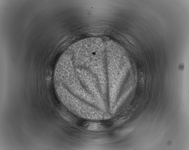 X0000099440507200805301454