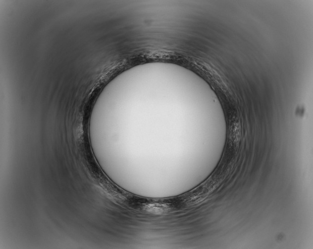 X0000099440508200805301454