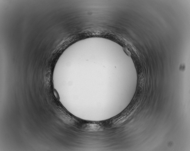 X0000099440509200805301454