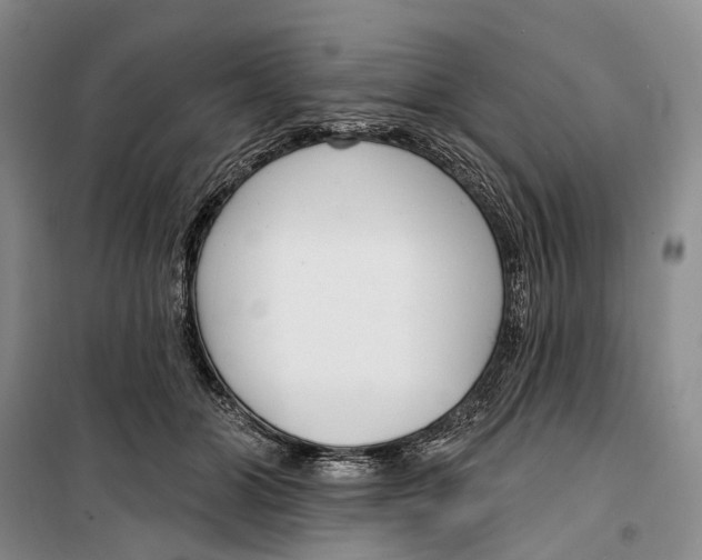 X0000099440510200805301454