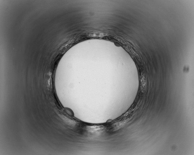 X0000099440511200805301454