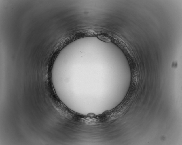 X0000099440512200805301454