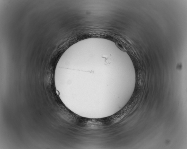 X0000099440515200805301454