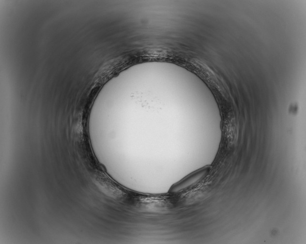 X0000099440516200805301453