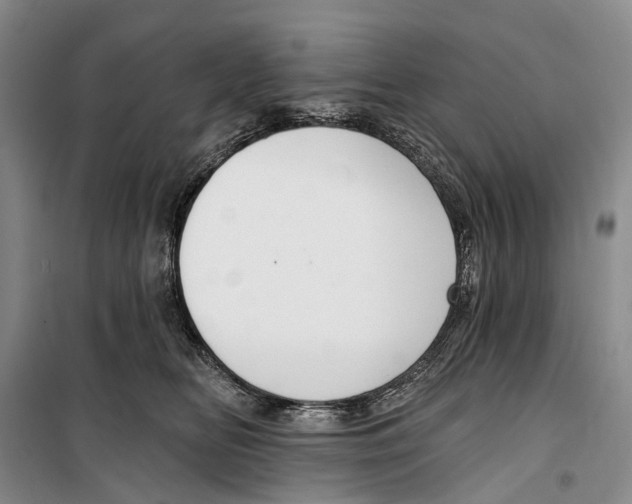 X0000099440518200805301453