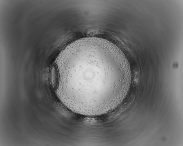 X0000099440519200805301453