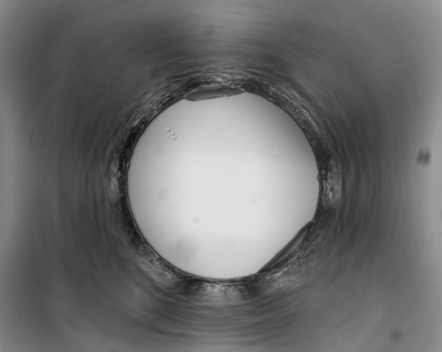 X0000099440520200805301453