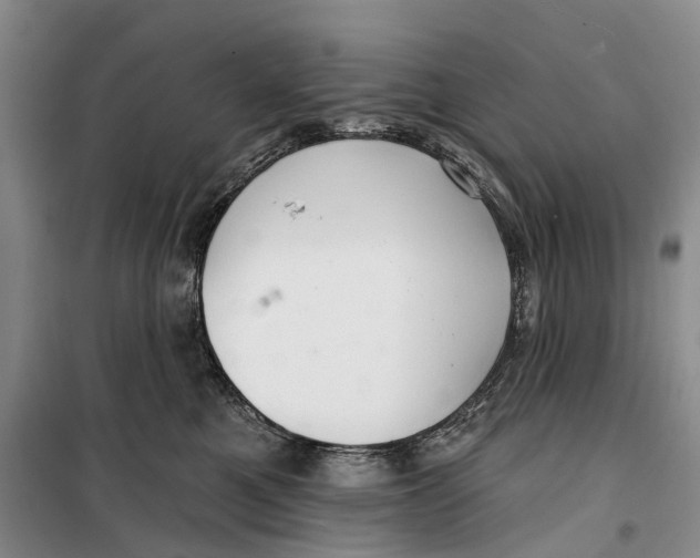 X0000099440521200805301453