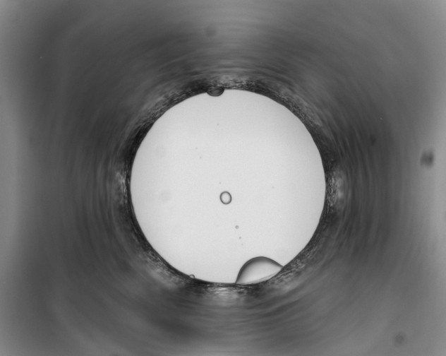 X0000099440522200805301453