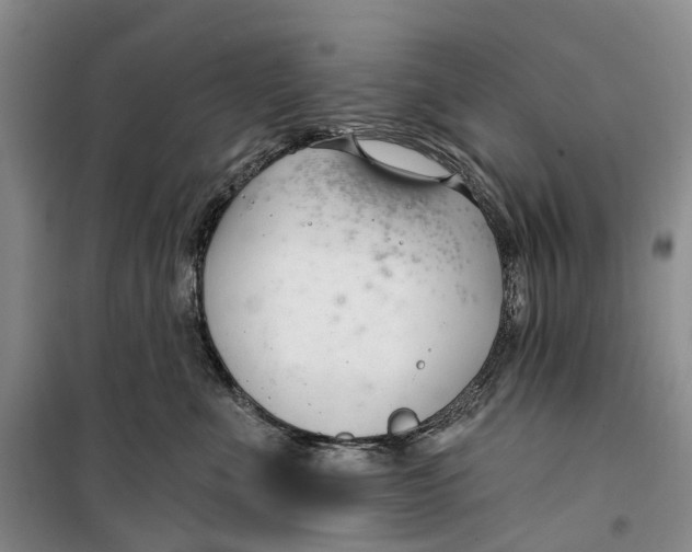 X0000099440523200805301453