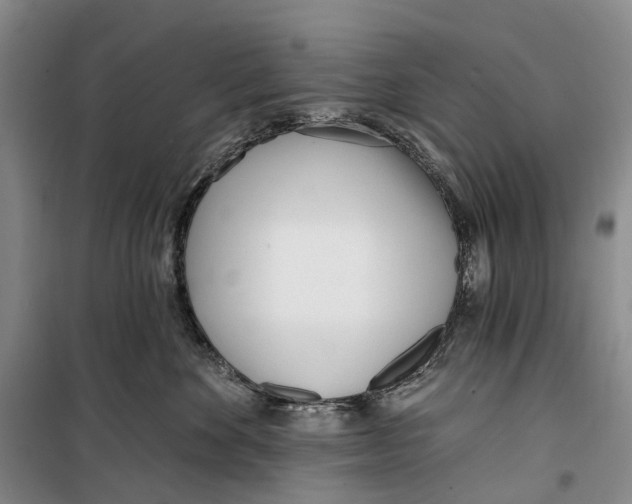 X0000099440524200805301453