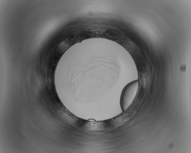 X0000099440526200805301453