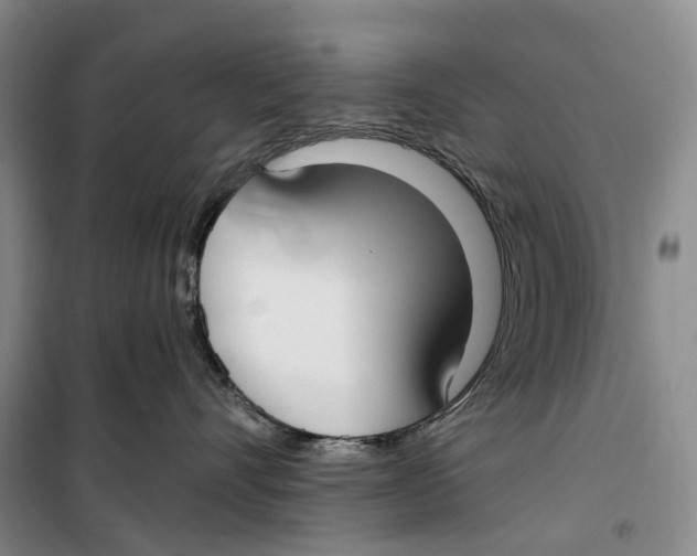 X0000099440528200805301453