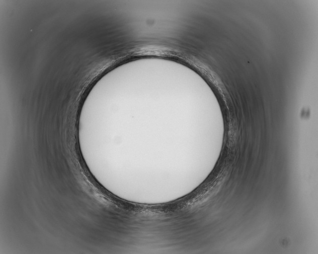 X0000099440529200805301453