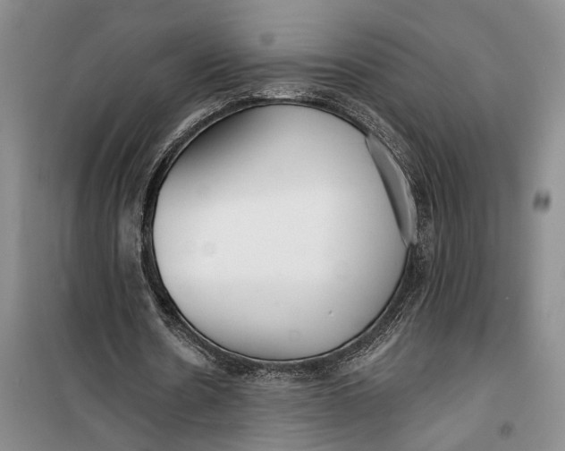 X0000099440530200805301453