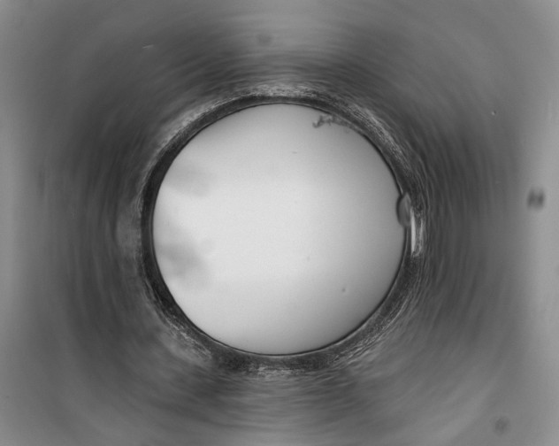 X0000099440531200805301453