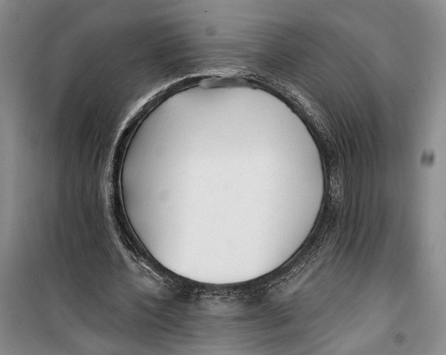 X0000099440532200805301453